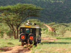 Tips vakantie Kenia: ontdek het juweel van Afrika Tips vakantie Kenia ontdek het juweel van Afrika