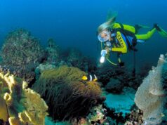 Ontdek de adembenemende onderwaterwereld van Oman Ontdek de adembenemende onderwaterwereld van Oman