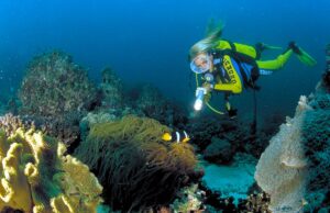 Ontdek de adembenemende onderwaterwereld van Oman Ontdek de adembenemende onderwaterwereld van Oman